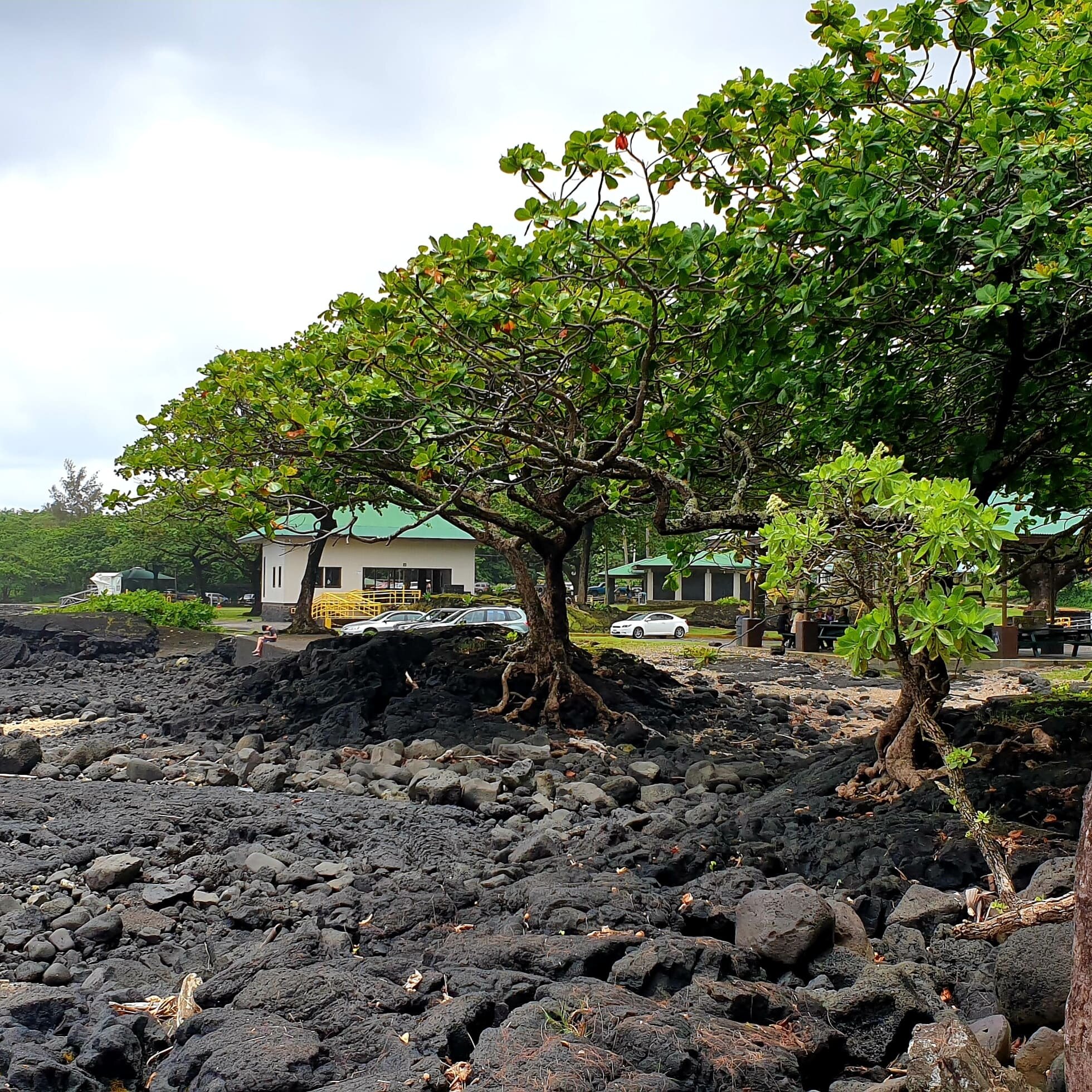 2023 Hawaii Big Island Circle Small Group Tour: Waterfalls - Hilo ...