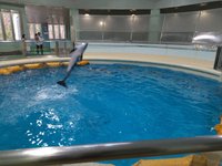 22年 青森県営浅虫水族館 行く前に 見どころをチェック トリップアドバイザー