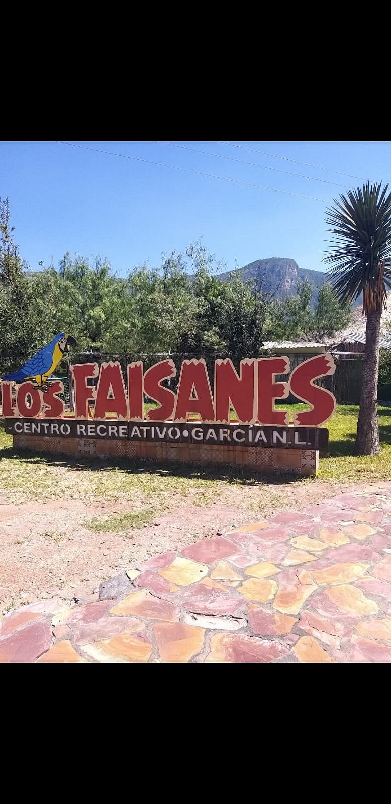 CENTRO RECREATIVO LOS FAISANES - 2023 All You Need to Know BEFORE You Go  (with Photos)