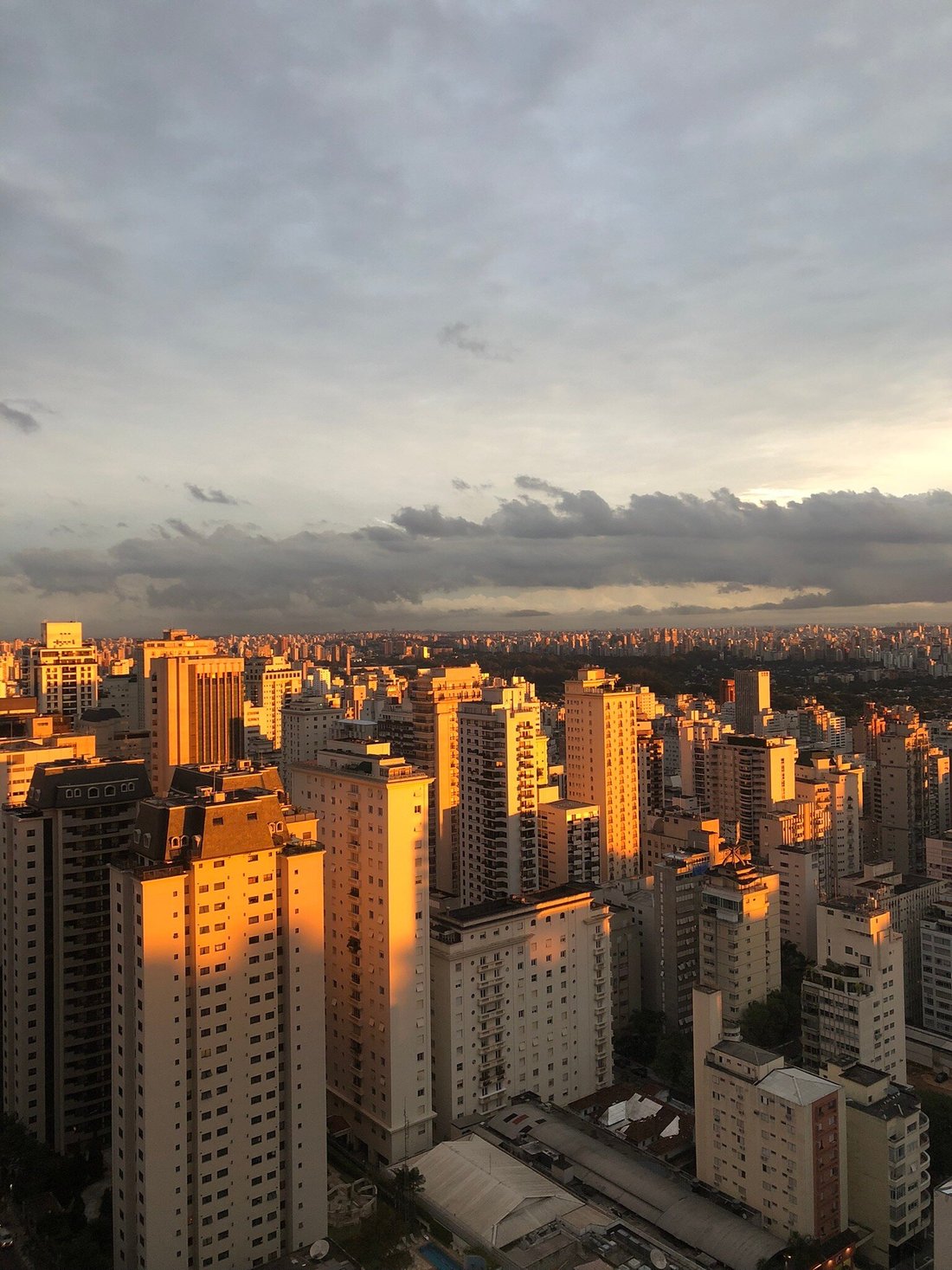 RENAISSANCE SAO PAULO HOTEL - Updated 2024 Prices & Reviews (Brazil)