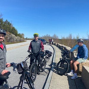 pedego acadia