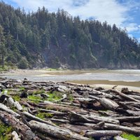 2023 Oregon Coast Tour from Portland - Reserve Now