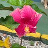 Traveljmr