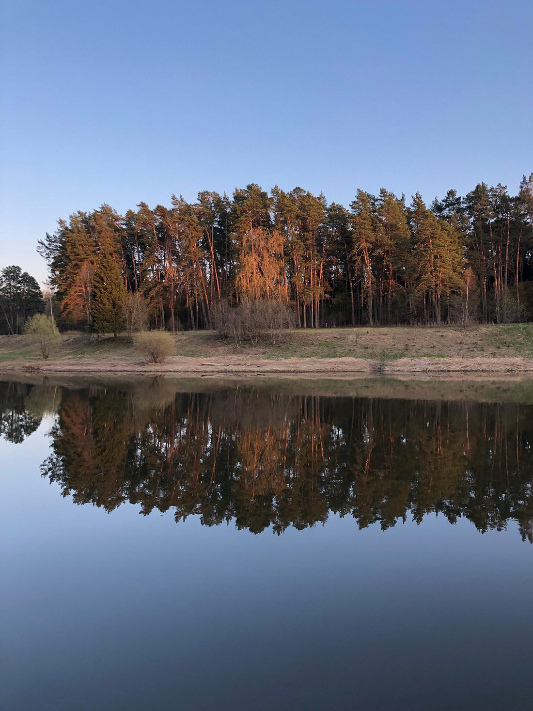 АКТЕР ПАРК-ОТЕЛЬ (Staraya Ruza) - отзывы и фото - Tripadvisor