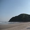 Ana Maria F