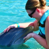 Dolphin Discovery Grand Cayman (West Bay) - All You Need to Know BEFORE ...