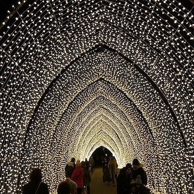 Christmas at Kew Garden light trail