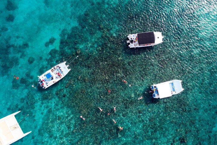 2023 Private Catamaran to Catalina Island With Lunch & Snorkeling