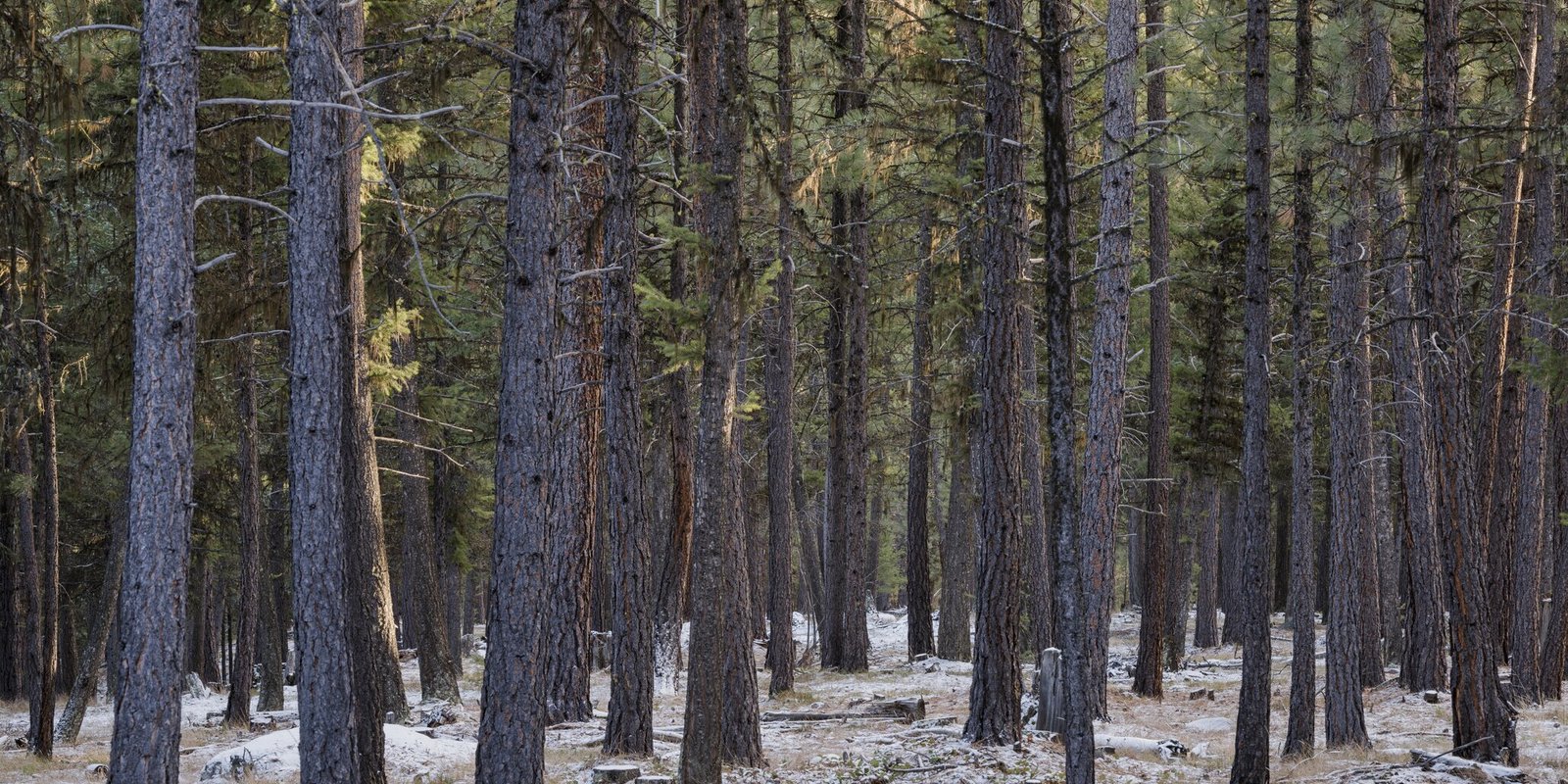 How to visit the serene set locations of Yellowstone - Tripadvisor