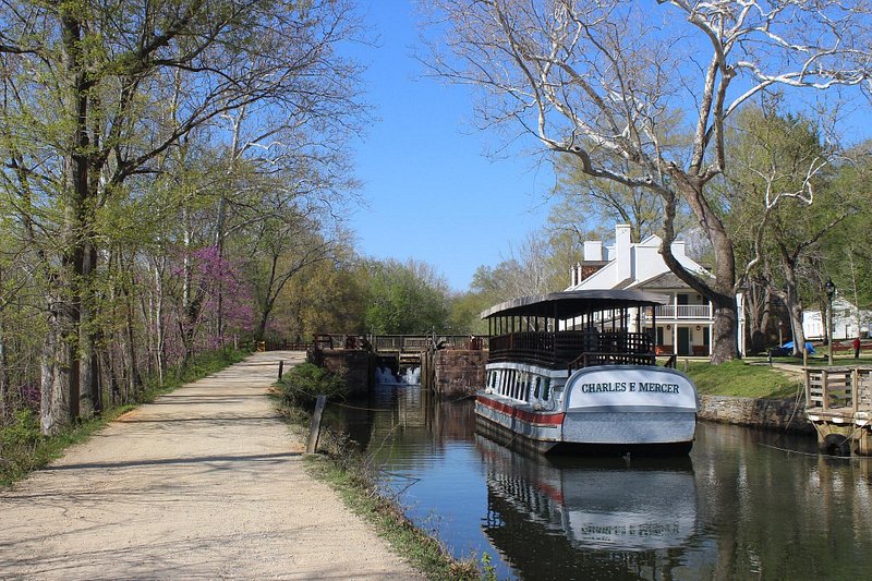 A light-colored gravel path winds next to a boat in the still waters of a canal. The boat has Charles E Mercer written on it, and trees line either side of the path and canal