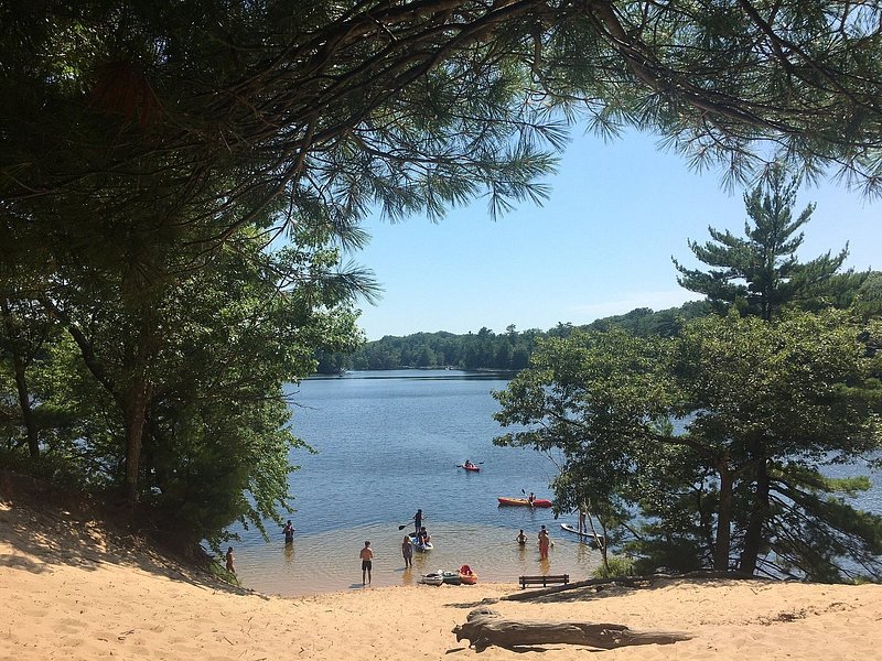 A tree-shaded sandy bank leads to a view of kayakers piling into their boats on a calm lake