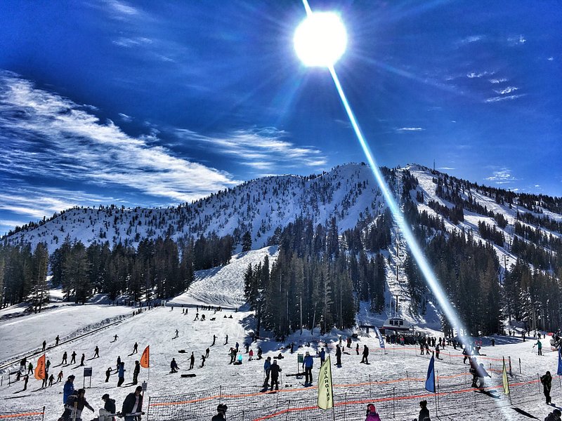 The sun shoots a starbust of light across a snowy tree-dotted mountaintop, with dozens of skiers navigating across a snowy crest