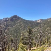 Old Stage Riding Stables (Colorado Springs) - All You Need to Know ...