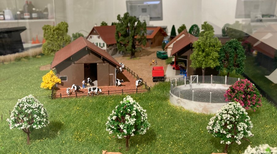 Teil der Ausstellung, Miniaturlandschaft 
