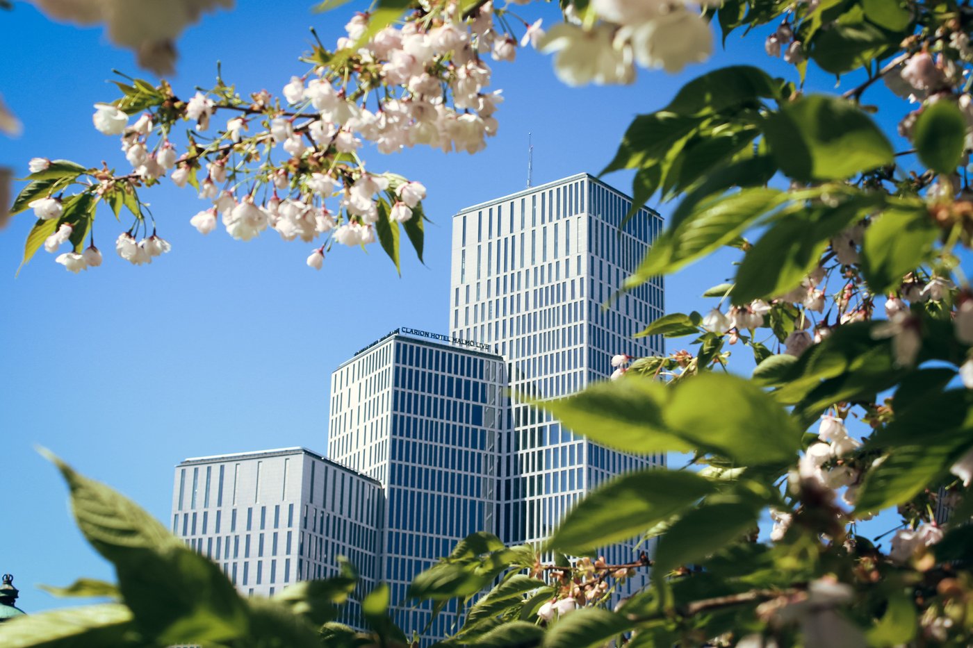 clarion hotel malmö live