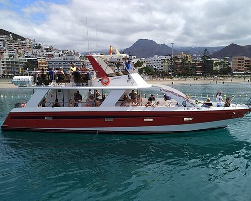 boat tours tenerife