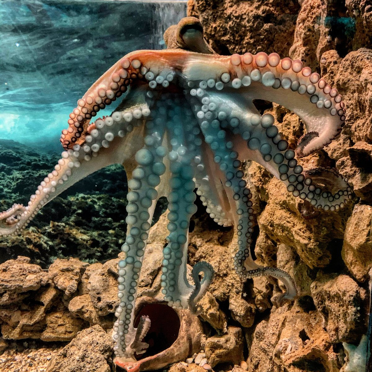 Corfu Aquarium, Палеокастрица: лучшие советы перед посещением - Tripadvisor