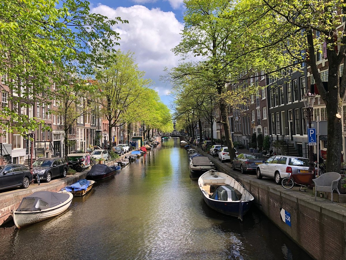 love my city tours amsterdam