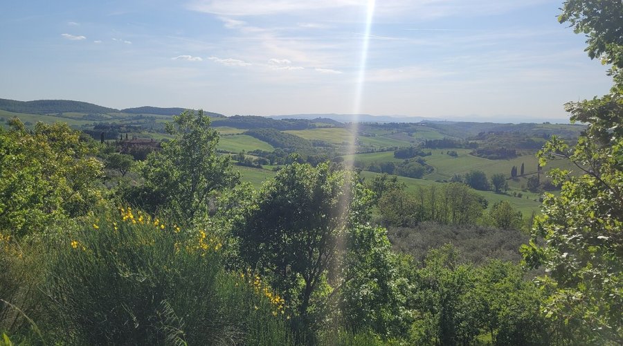 A little piece of heaven high in the Tuscan hills outside Montepulciano