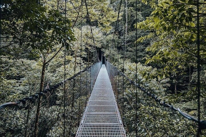 Tripadvisor | de puentes colgantes en el Volcán Arenal ofrecido por Mistico Arenal Hanging Bridges Park | La Fortuna, Costa Rica