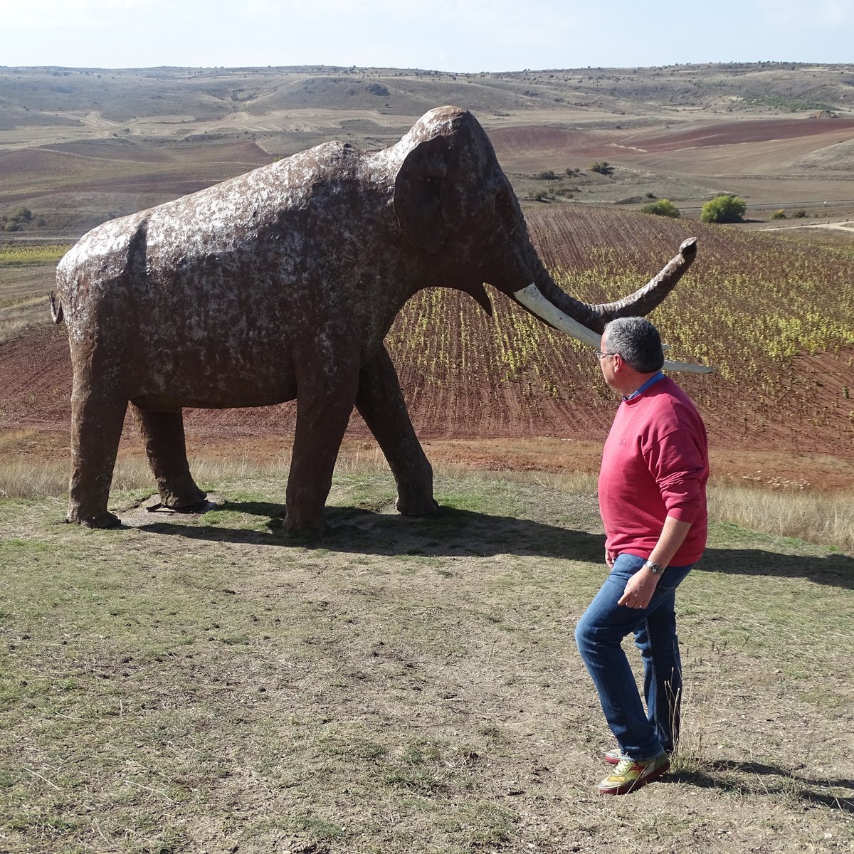 MUSEO ARQUEOLOGICO DE AMBRONA (Soria) - All You Need to Know BEFORE You Go