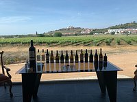Tiago Cabaco Winery - All Go (with Know Photos) You Need to BEFORE You
