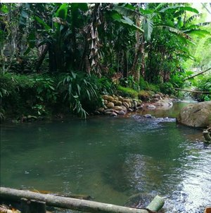 natural swimming pool.
