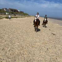 PAKEFIELD RIDING SCHOOL (Lowestoft) - All You Need to Know BEFORE You Go