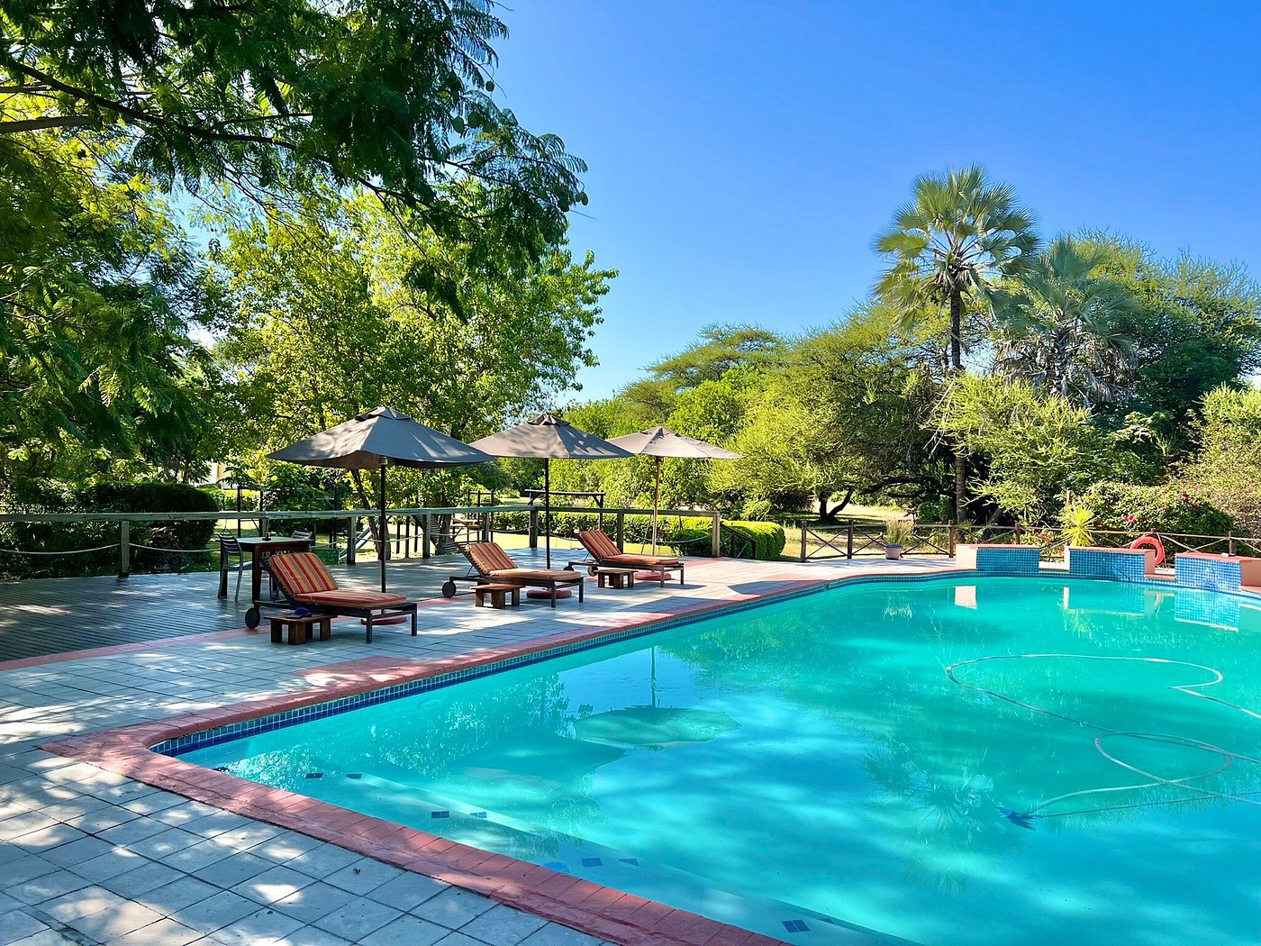 SEDIA RIVERSIDE HOTEL (AU$144): 2023 Prices & Reviews (Maun, Botswana ...