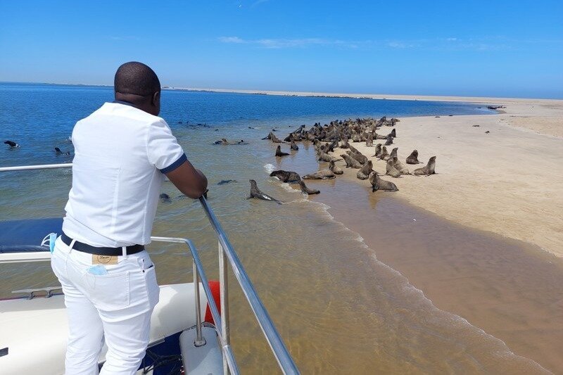 catamaran dolphin cruises walvis bay