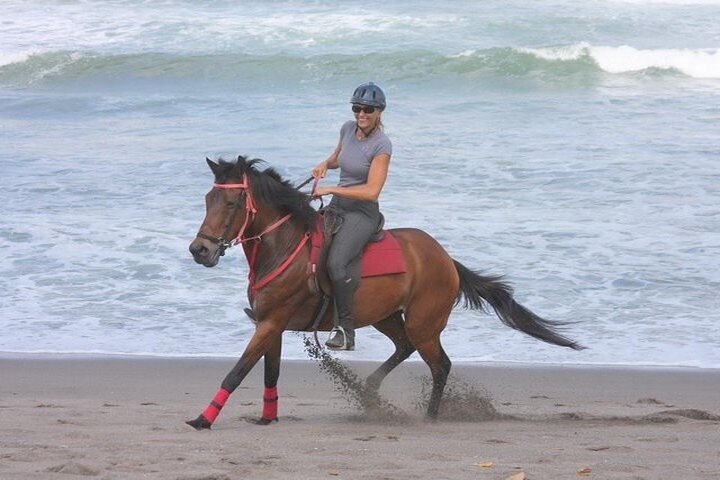 2024 Bali Horse Riding - Beach, Rice Field & Village - Morning ...