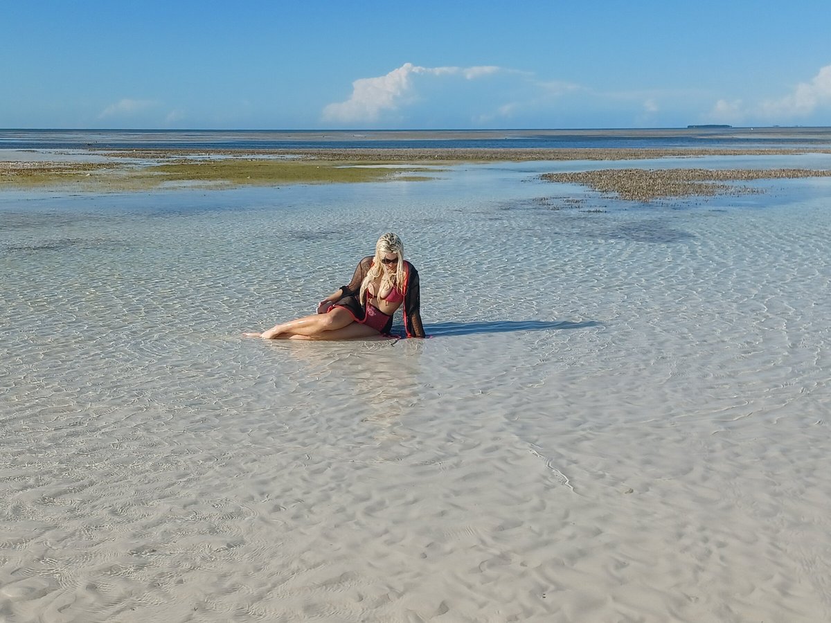 ISLAND TO ISLAND CHARTERS (Cayo Hueso (Key West)) - Qué SABER antes de ir