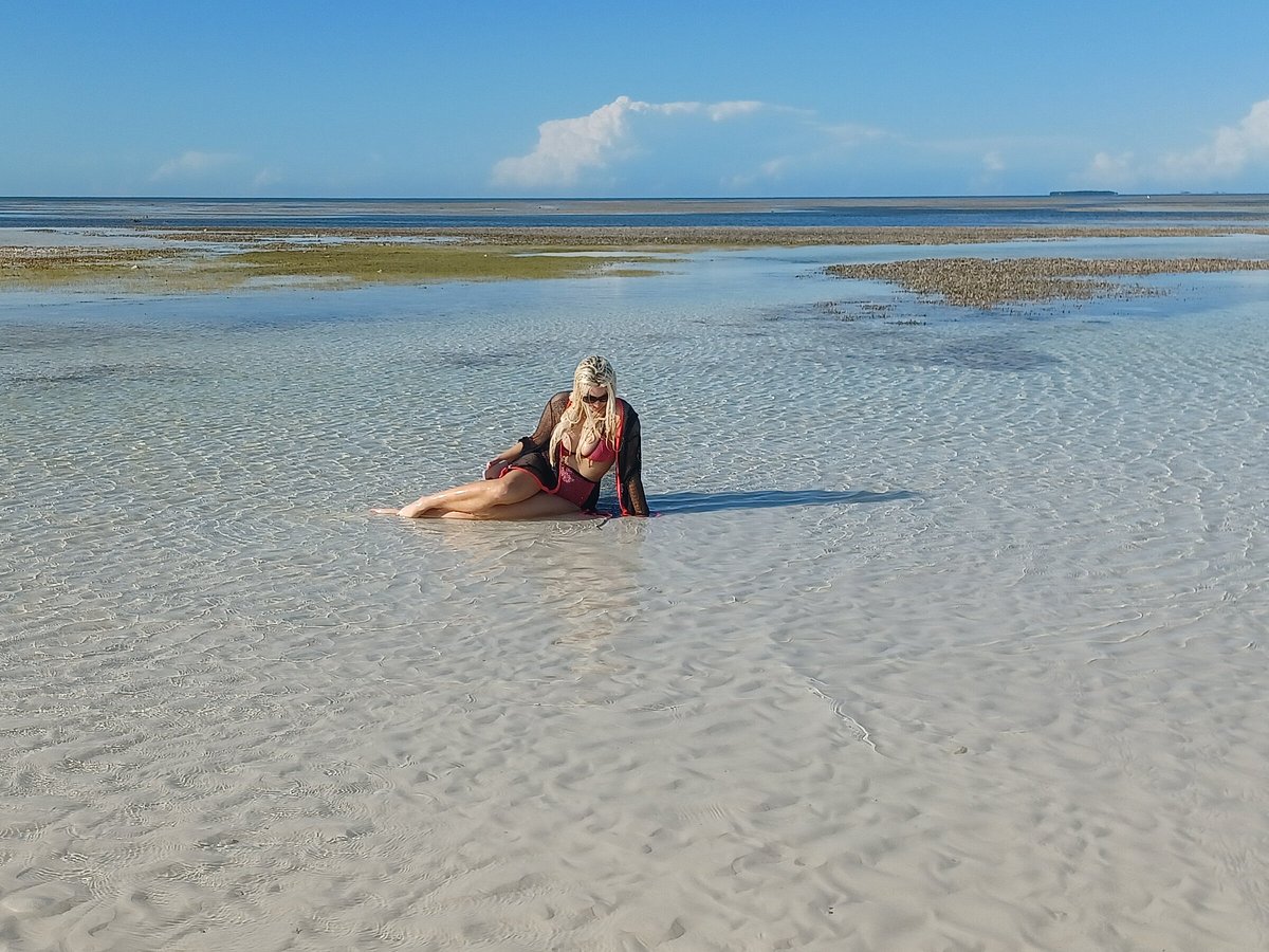 ISLAND TO ISLAND CHARTERS (Cayo Hueso (Key West)) - Qué SABER antes de ir ISLAND TO ISLAND CHARTERS (Cayo Hueso (Key West)) - Qué SABER antes de ir