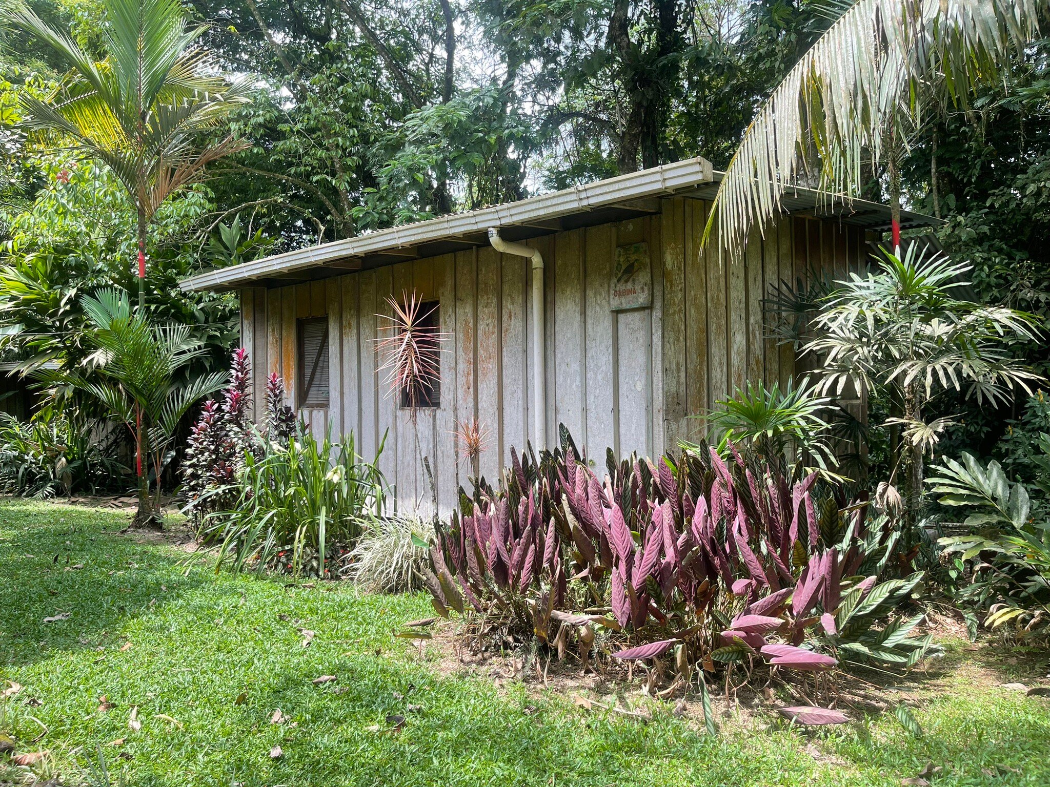 CASA RIO BLANCO ECO FRIENDLY B&B - Prices & Reviews (Costa Rica/Guapiles)