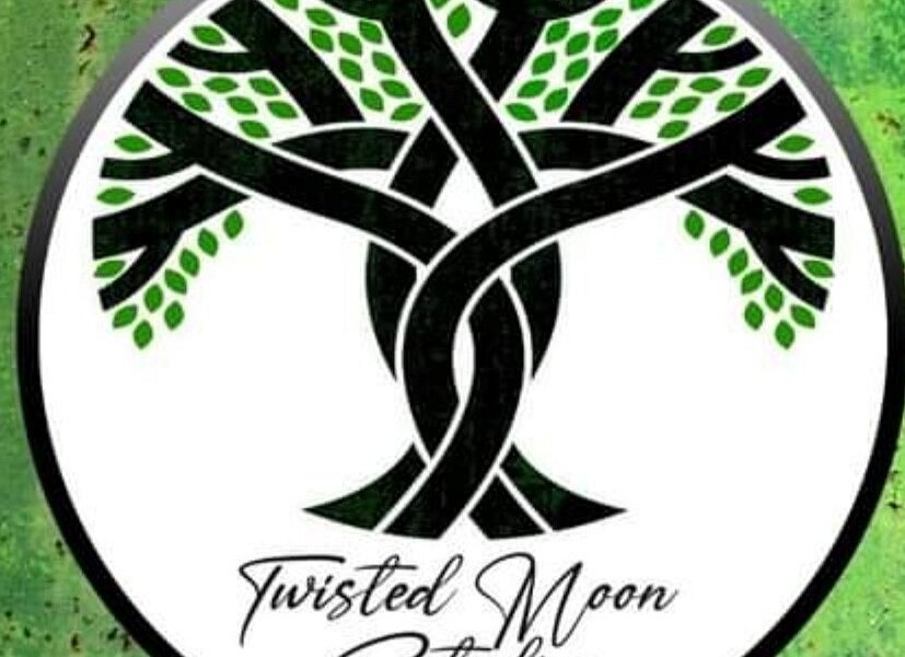 Twisted Moon Studios image