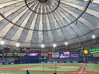 Tropicana Field Review is Better Than You May Think - TSR
