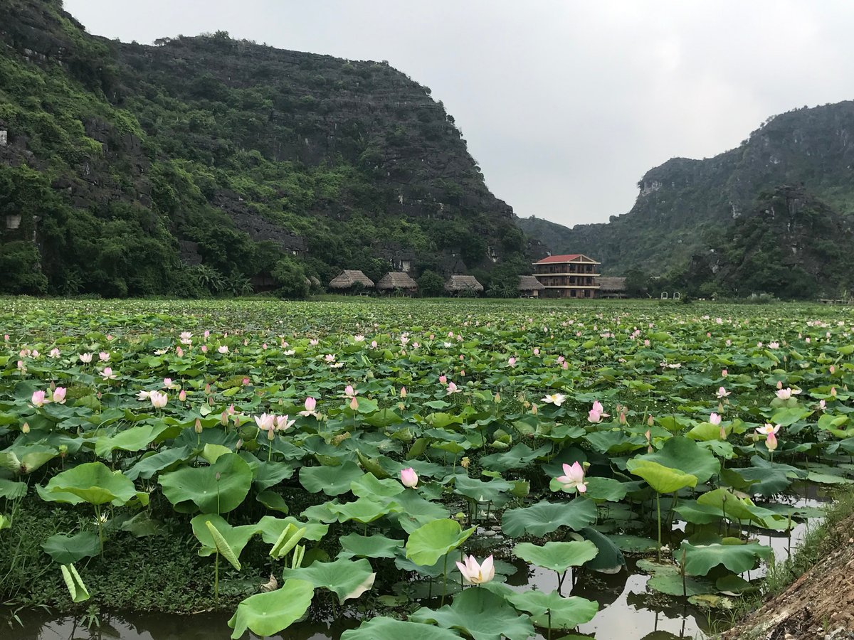 THE 10 BEST Hotels in Ninh Binh for 2022 (from $11) - Tripadvisor