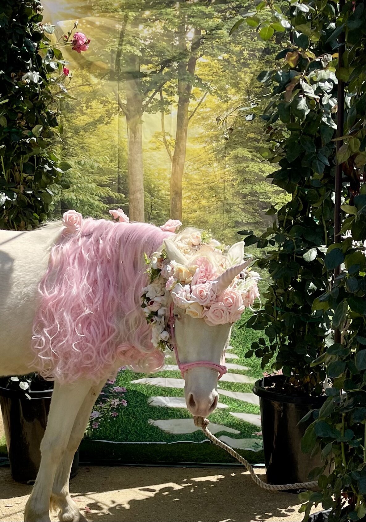 The Unicorn Experience (Los Angeles) - All You Need to Know BEFORE You Go