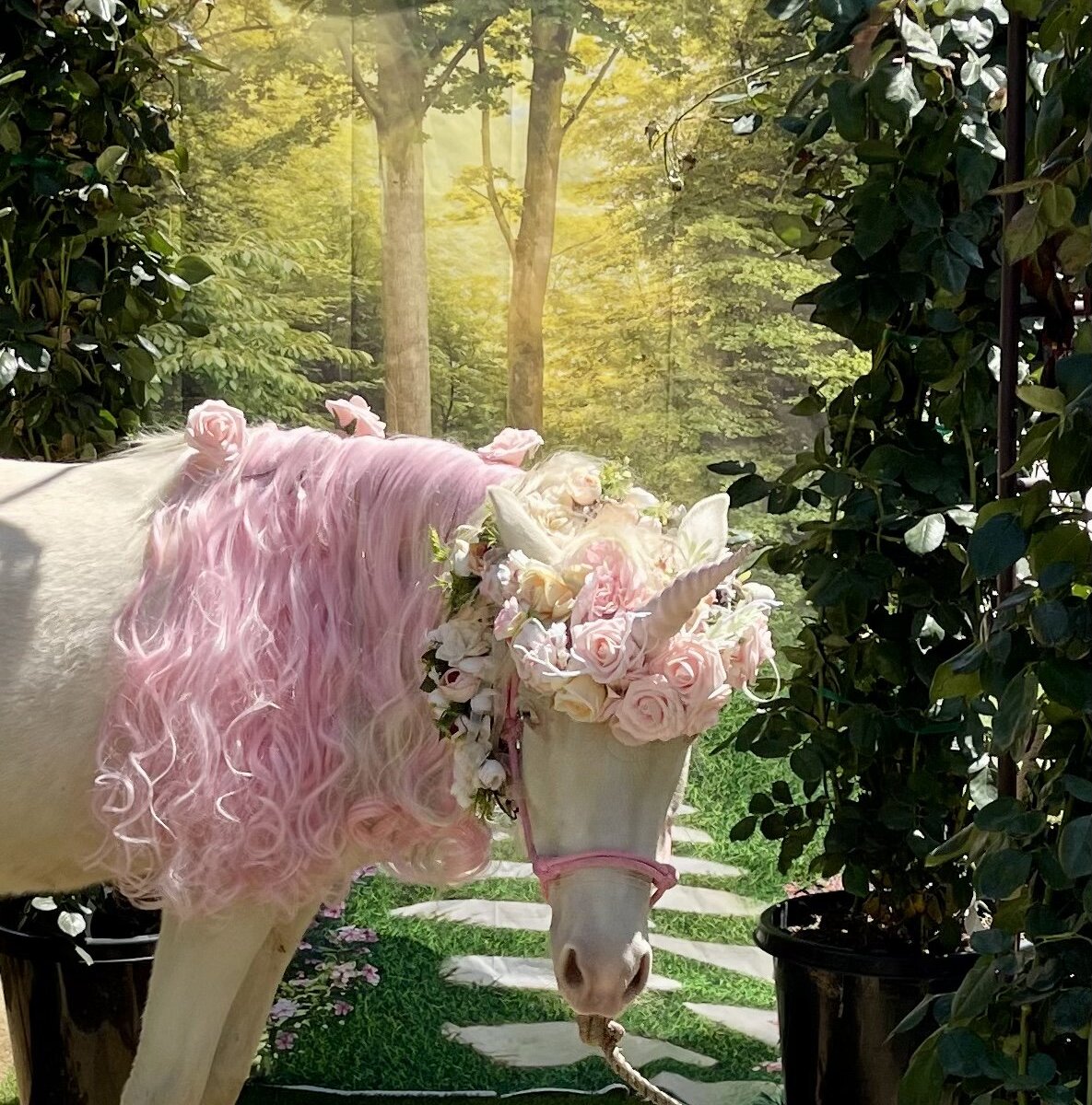 The Unicorn Experience (Los Angeles) - All You Need to Know BEFORE You Go