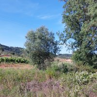 Quinta Do Alcube (azeitao) - All You Need To Know Before You Go