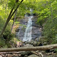 Miller's Land of Waterfall Tours (Rosman) - All You Need to Know BEFORE ...