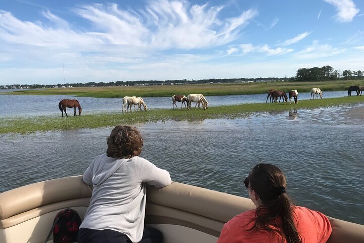 2024 Chincoteague Island Grand Boat Tour Around Chincoteague And   Caption 