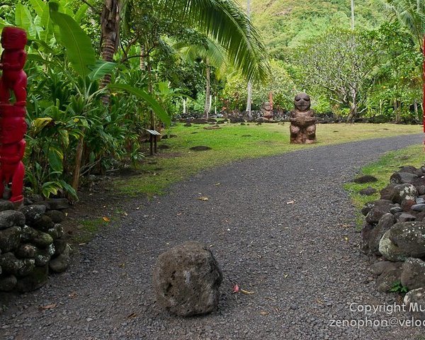 Maraa Grotto Tahiti All You Need To Know Before You Go