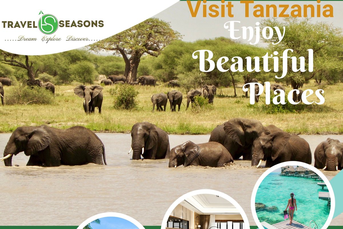 Travel Seasons Network