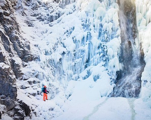 THE 10 BEST Rovaniemi Sightseeing Tours (with Photos) - Tripadvisor