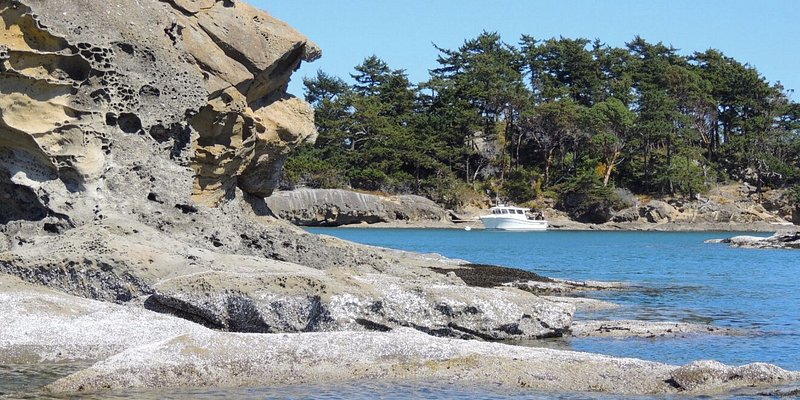 A small white boat is tucked into a cove in Orcas Island