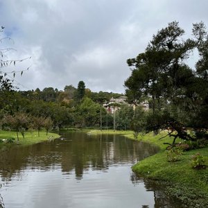 Tripadvisor  Arborismo en el huerto forestal - Campos do Jordão