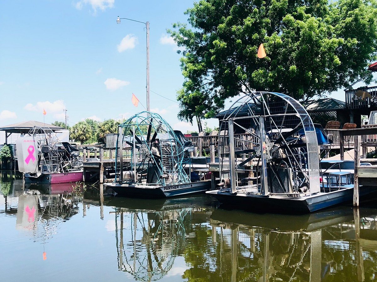 airboats and alligators tour price