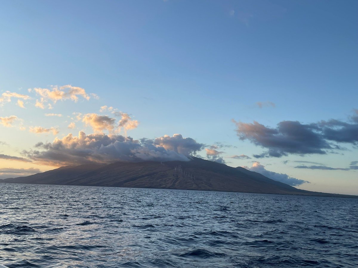 Alii Nui Sailing Charter Kihei All You Need To Know Before You Go