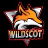 Wildscot